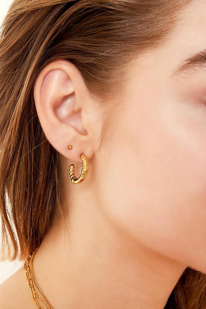 Oorbelringen gedraaid detail - klein