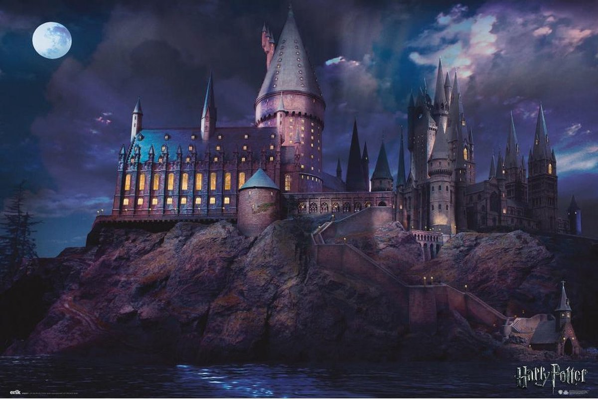 Maxi Poster Harry Potter Hogwarts