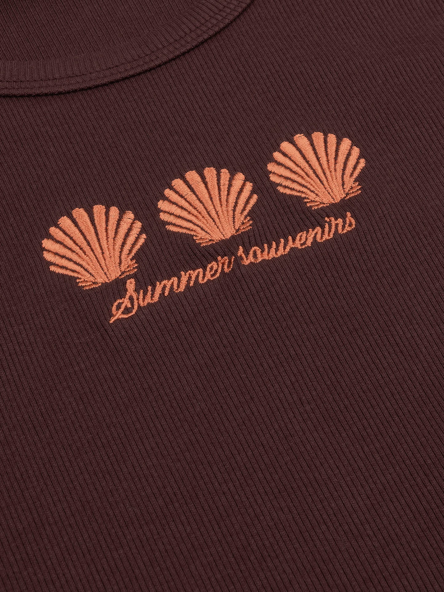Ydence Top Sea shells