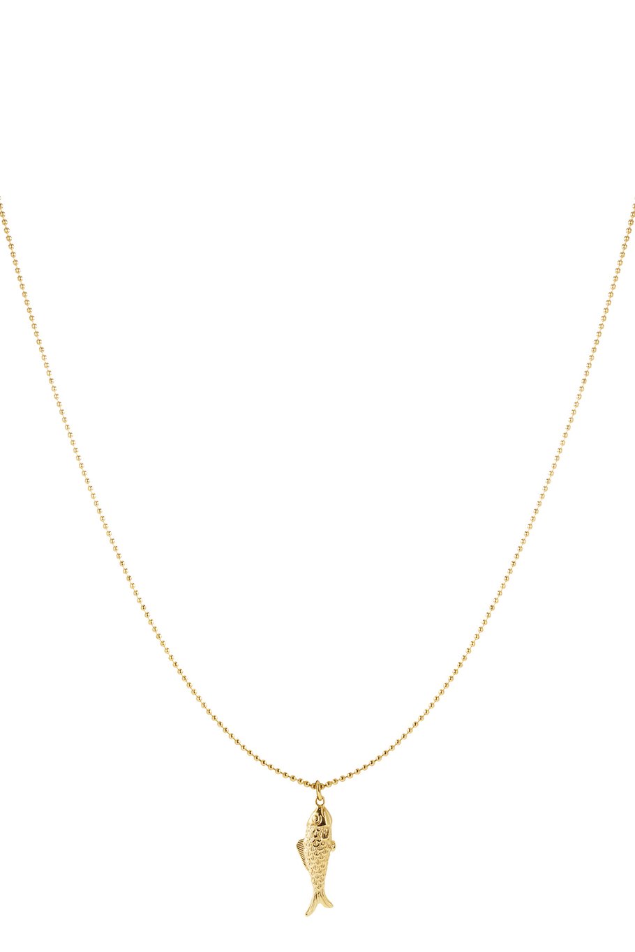Ketting visje
