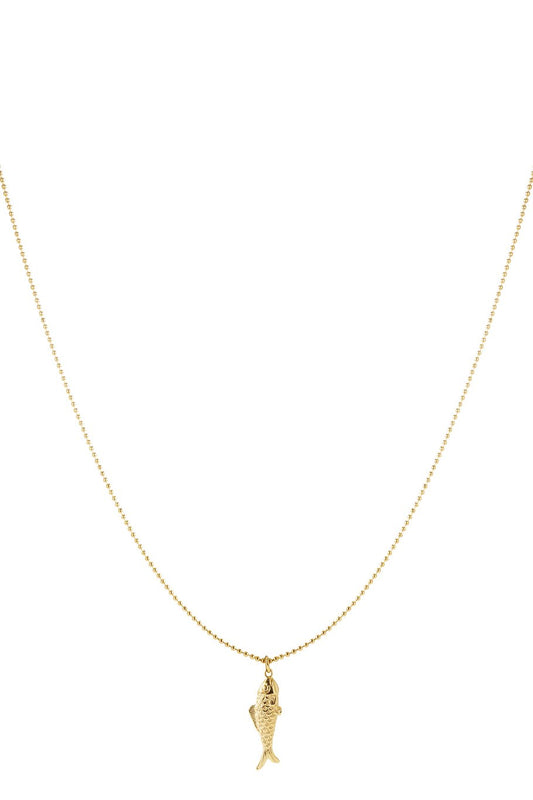 Ketting visje