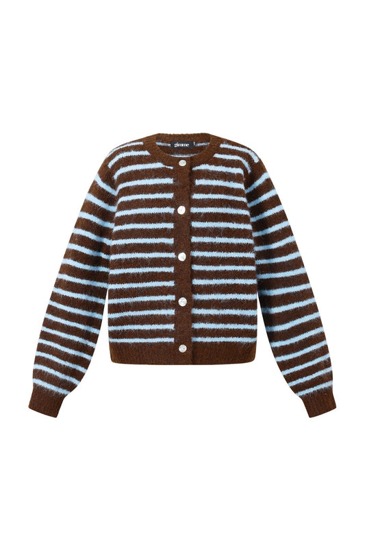 Vest met strepen | Blauw & Bruin