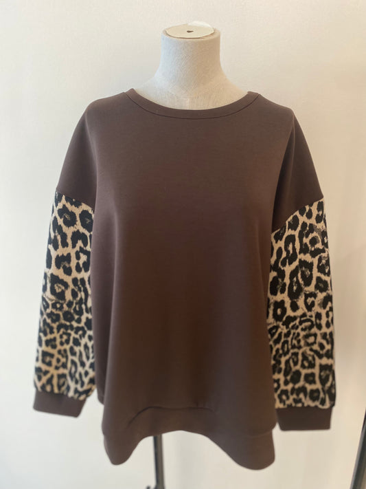 Sweater panter | Bruin